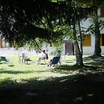 Europa Hotel 2*