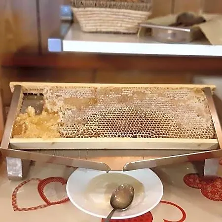 Europa Ξενοδοχείο 2*